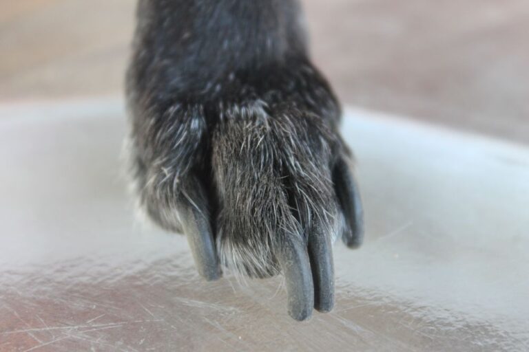Nail Trim & File